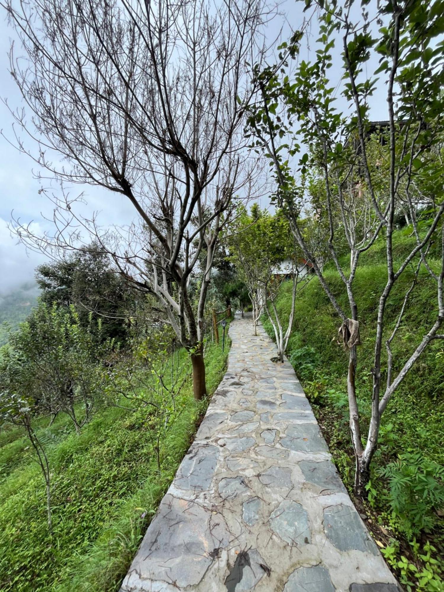 Apple Garden Cottages And Restaurant 达纳尔蒂 外观 照片